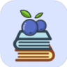蓝莓免费小说 1.0.0 安卓版
