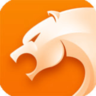 猎豹DNS 5.28.1 安卓版