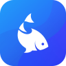 鱼池手机app 2.5.2 安卓版