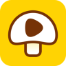 香菇短视频 1.0 安卓版