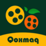 QoxmaQ 1.0.1 安卓版