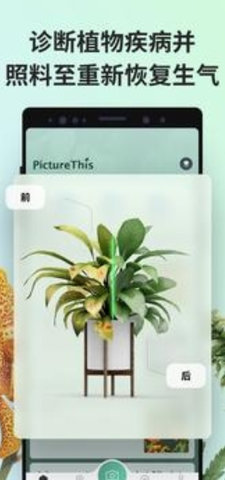 PictureThis app