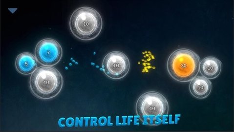 细菌起源2游戏