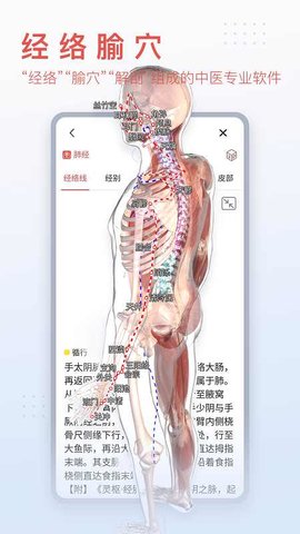 3D人体解剖软件