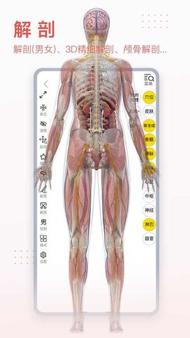 3D人体解剖软件