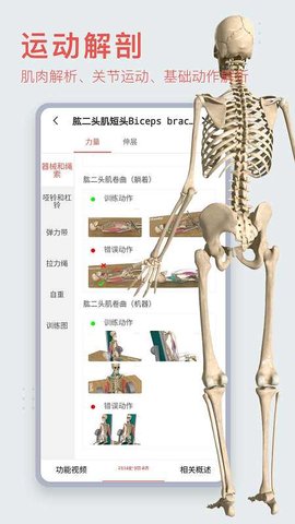 3D人体解剖软件