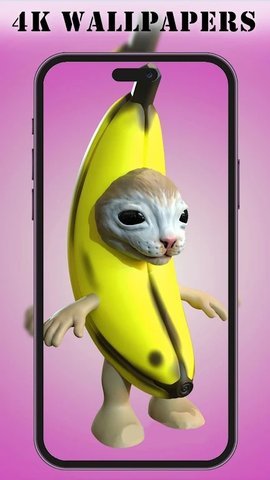 Banana Cat WallpaperAPP