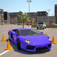 驾校学车模拟器游戏 1.1 安卓版