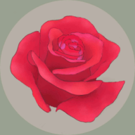 玫瑰花园游戏 2.0 安卓版