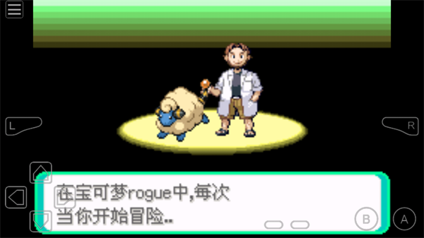 口袋妖怪rogue版