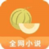 甜瓜小说app 3.4.6 安卓版