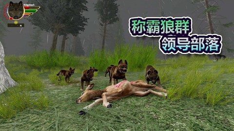 森林狼生存模拟器游戏