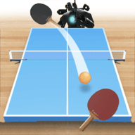 双人乒乓球游戏 1.0 安卓版