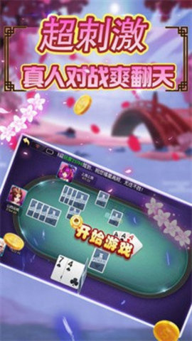 紫霄棋牌