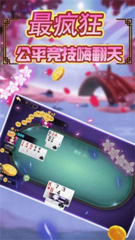 紫霄棋牌