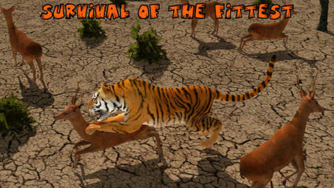 终极狮虎模拟游戏