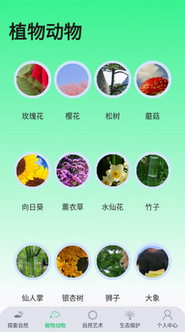 绿野乐园app