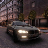 欧洲停车模拟器游戏 0.0.1 安卓版