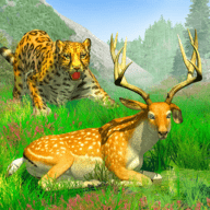 丛林狩猎动物游戏