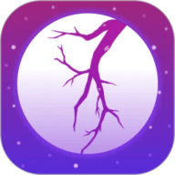 夜月直播app 6.0.3 最新版