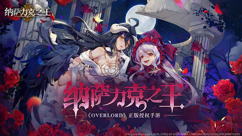 纳萨力克之王bilibili版