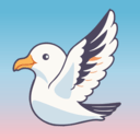 海鸥直播 5.3.8 安卓版