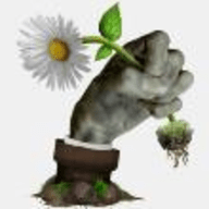 植物大战僵尸现实版 3.2.8 安卓版