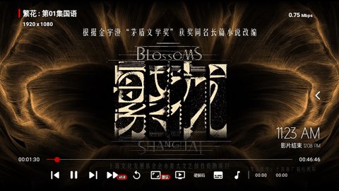 付成影视无广告版