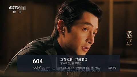 心厚tv龙年版