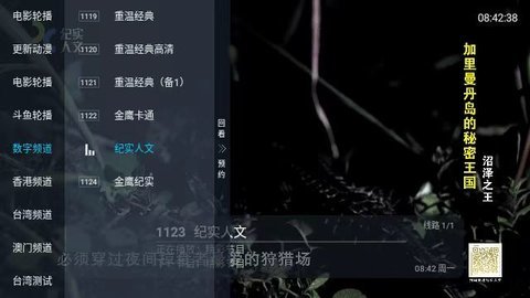 国际直播TV版