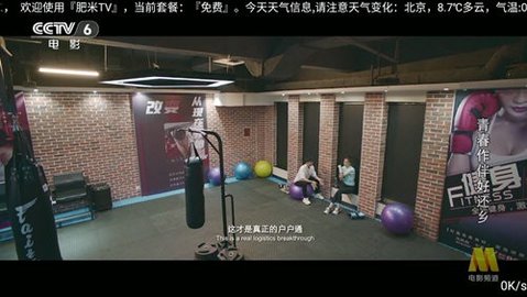 肥米TV电视版