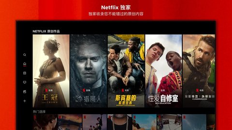 Netflix TV版