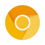 Chrome金丝雀版 125.0.6377.0 安卓版