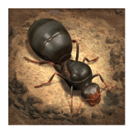 蚂蚁模拟器地下蚁国2手游