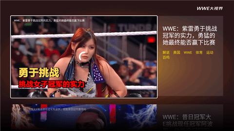 wwe大视界