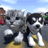 猫咪城市大冒险游戏 3.3.26 安卓版