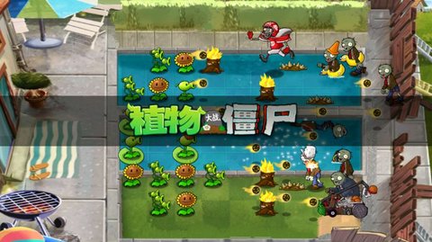 PvZ夏版游戏