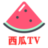西瓜TV 8.1 安卓版