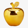 金苹果影视 5.5.0 安卓版
