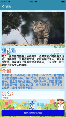 CatRoom影视免密令