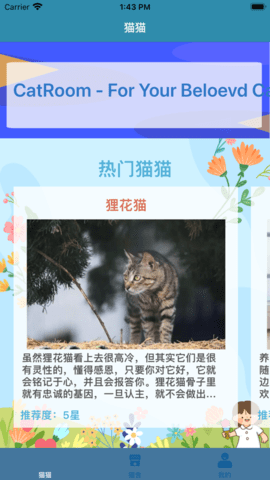 CatRoom影视免密令