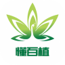 懂百植影视 1.0 安卓版