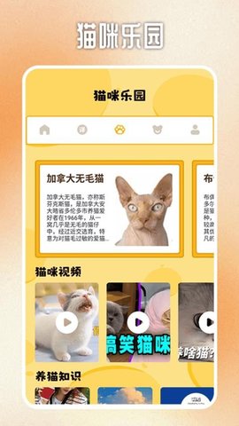 人猫交流翻译器