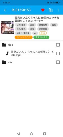 kikoeru同人音频