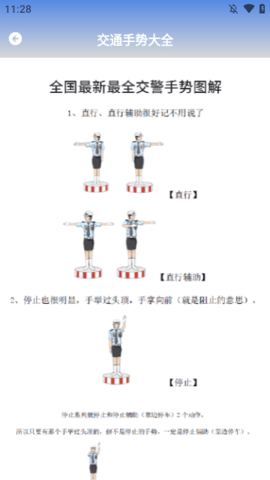 机动车违章查询