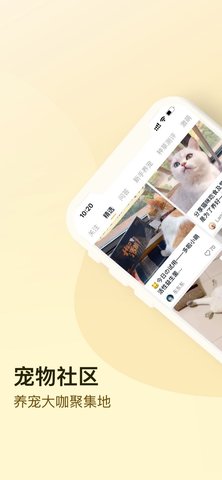 小萌猫短视频红包版